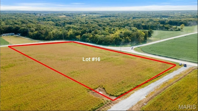 100 Otto Ct, Silex, MO 63377