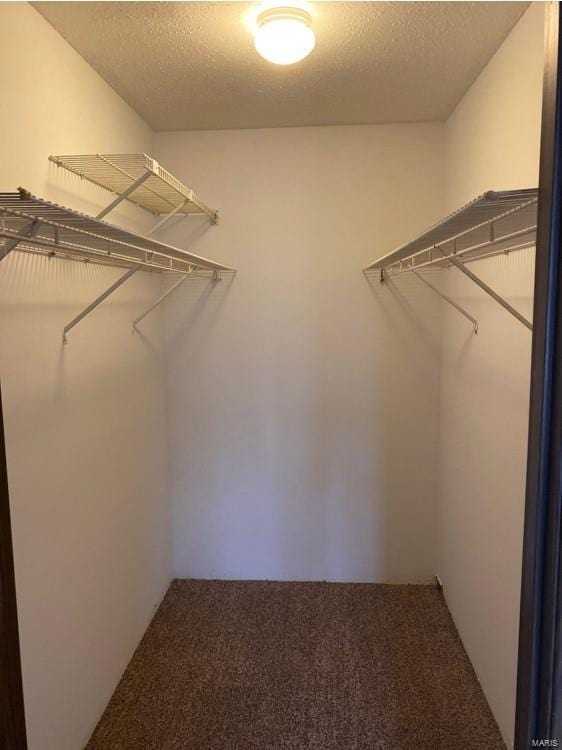 walk in closet featuring carpet