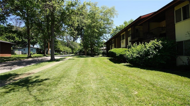view of green lawn