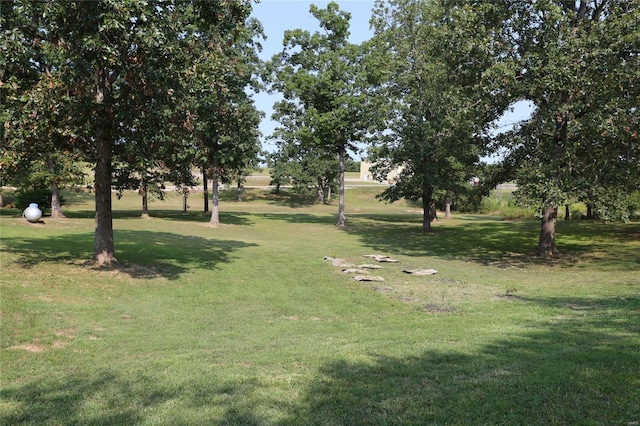 view of grassy yard