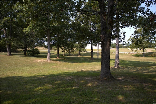 view of green lawn