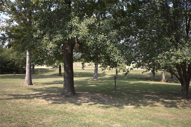view of grassy yard