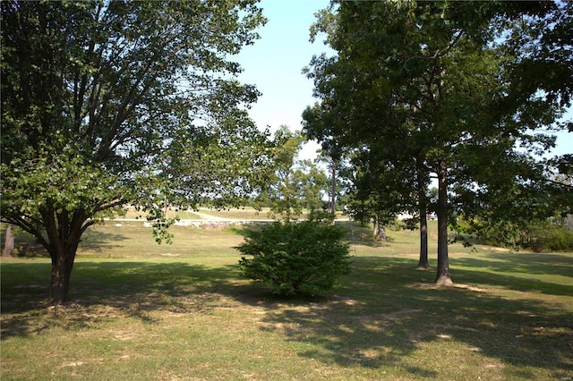 view of grassy yard