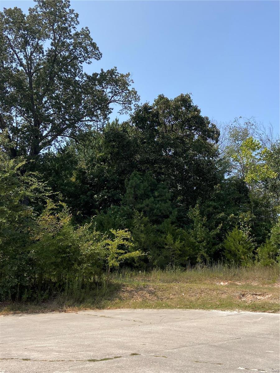 18 Brownwood Trl, Poplar Bluff, MO 63901