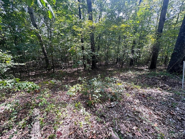 0 Tomaro Trl, Poplar Bluff, MO 63901 - photo 1