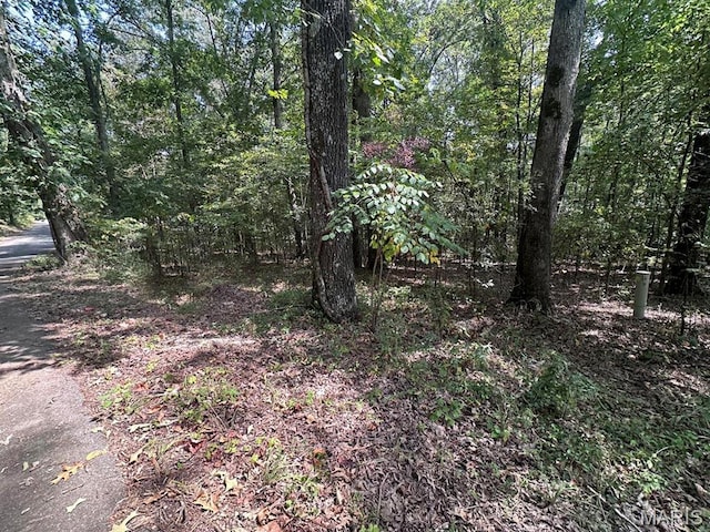 0 Tomaro Trl, Poplar Bluff, MO 63901 - photo 5