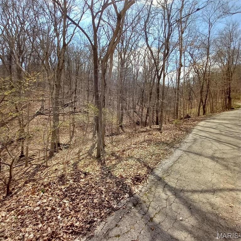 18244 Buckboard, Wildwood, MO 63069 - photo 2
