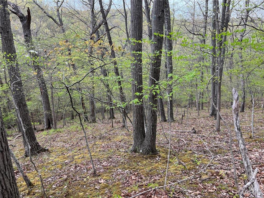18244 Buckboard, Wildwood, MO 63069 - photo 3