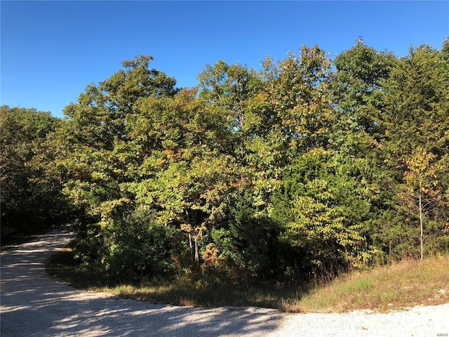 0 Rue De La Paix, Bonne Terre, MO 63628