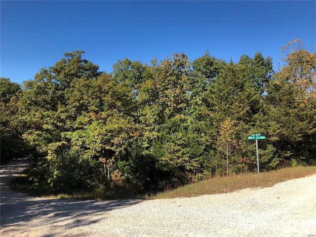 0 Rue De La Paix, Bonne Terre, MO 63628