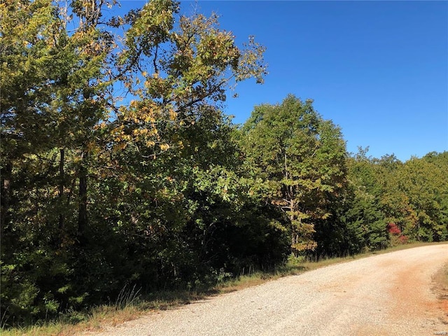 0 Rue De La Paix, Bonne Terre, MO 63628