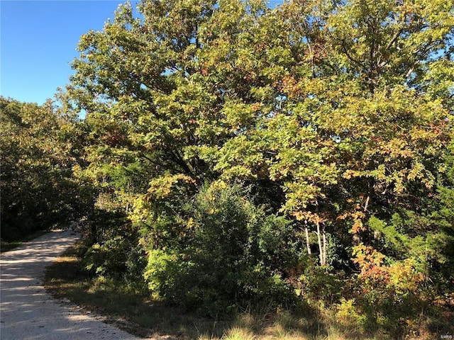 0 Rue De La Paix, Bonne Terre, MO 63628