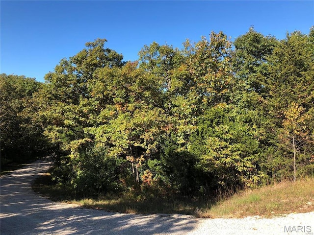 0 Rue De La Paix, Bonne Terre, MO 63628