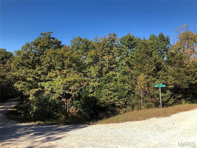 0 Rue De La Paix, Bonne Terre, MO 63628