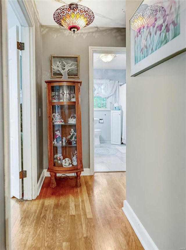 520 N Main St, Louisiana, MO 63353 - corridor featuring wood finished floors and baseboards