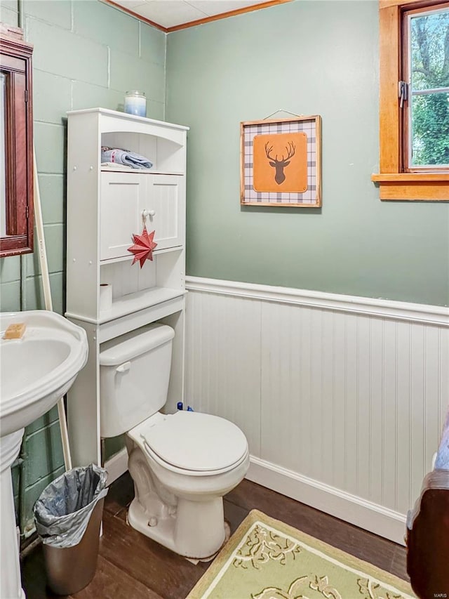 520 N Main St, Louisiana, MO 63353 - bathroom with wood finished floors, wainscoting, toilet, and ornamental molding