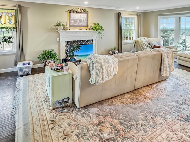 520 N Main St, Louisiana, MO 63353 - living room featuring crown molding, recessed lighting, wood finished floors, baseboards, and a fireplace
