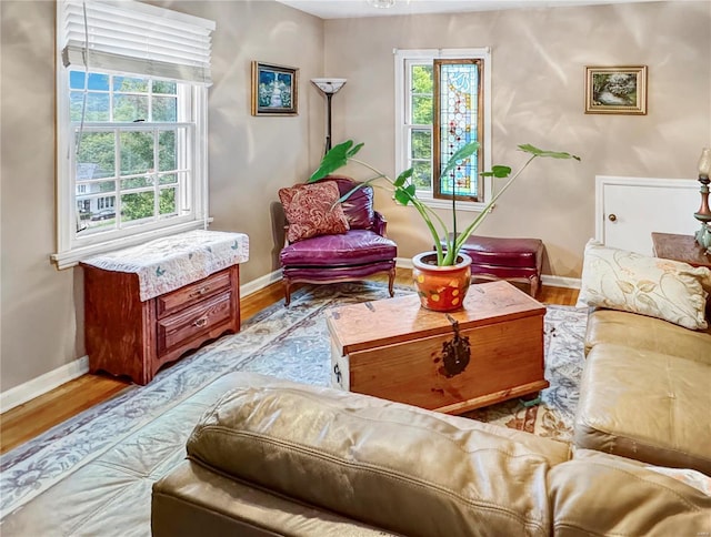 520 N Main St, Louisiana, MO 63353 - living area with baseboards and wood finished floors