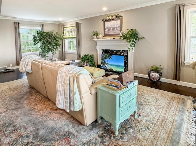 520 N Main St, Louisiana, MO 63353 - living area with crown molding, wood finished floors, baseboards, recessed lighting, and a fireplace
