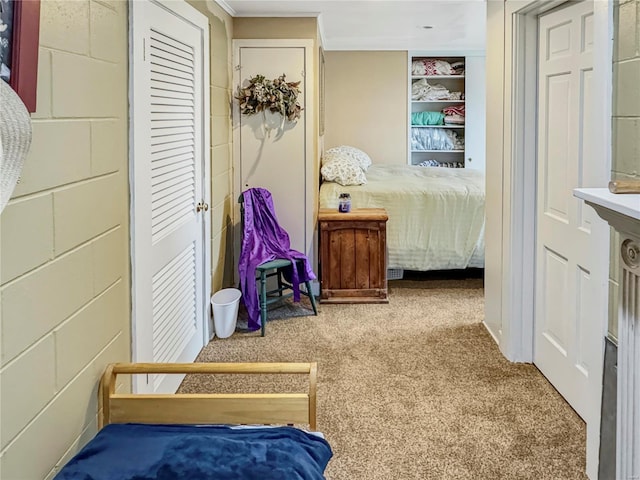520 N Main St, Louisiana, MO 63353 - carpeted bedroom with ornamental molding and a closet