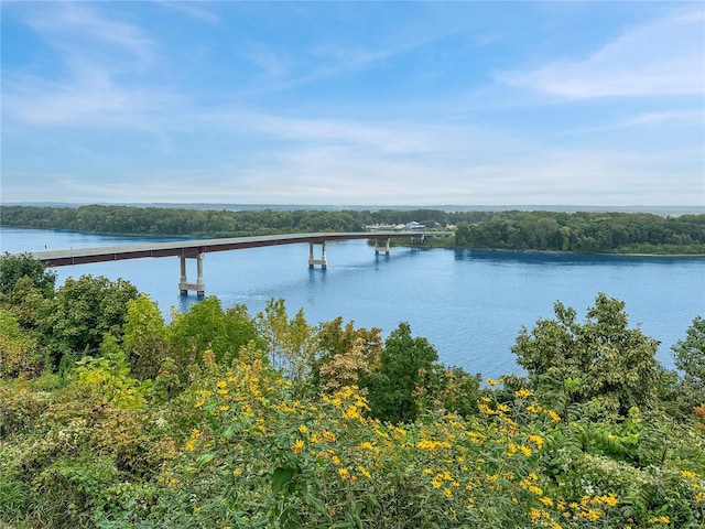 520 N Main St, Louisiana, MO 63353 - water view featuring a notable bridge