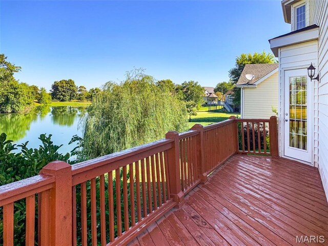 1629 11th Fairway Dr, Belleville, IL 62220 - photo 39