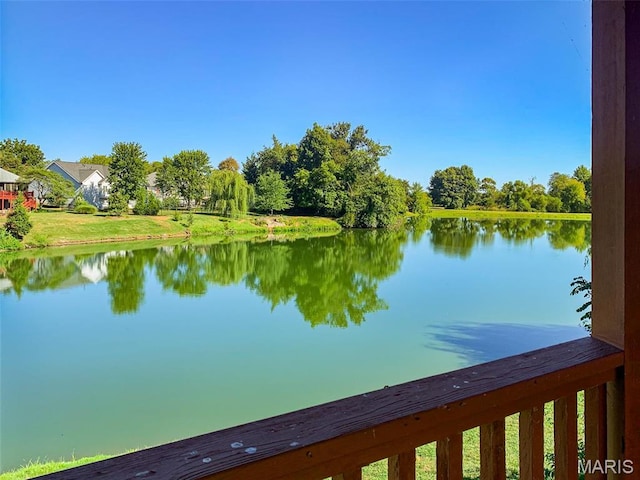 1629 11th Fairway Dr, Belleville, IL 62220 - photo 42