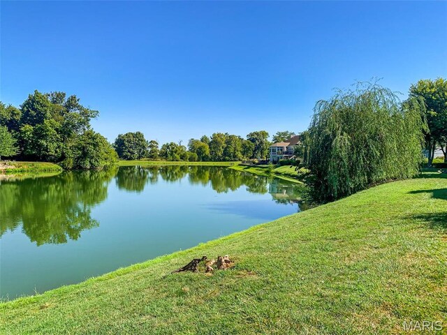 1629 11th Fairway Dr, Belleville, IL 62220 - photo 48