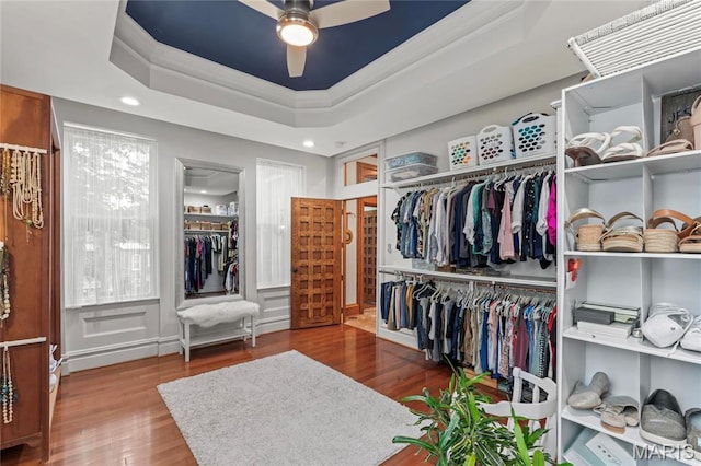 3623 Ohio Ave, Saint Louis, MO 63118 - walk in closet with wood finished floors, ceiling fan, and a tray ceiling