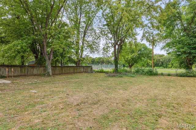 310 Crane St, Park Hills, MO 63601 - view of fenced backyard