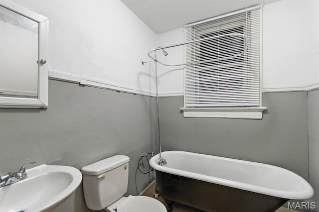 full bathroom with a sink, toilet, and a freestanding bath