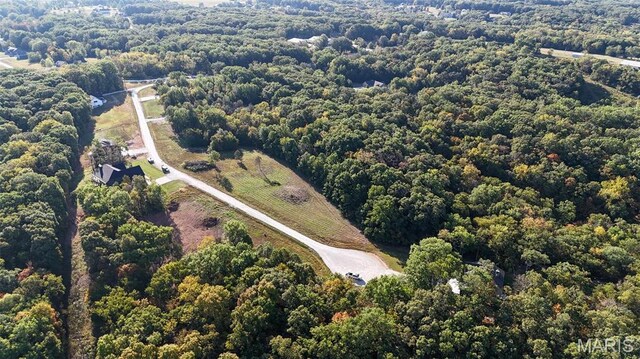 124 Merz Meadows Dr, Troy, MO 63379 - photo 8