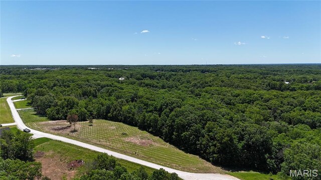 124 Merz Meadows Dr, Troy, MO 63379 - photo 5