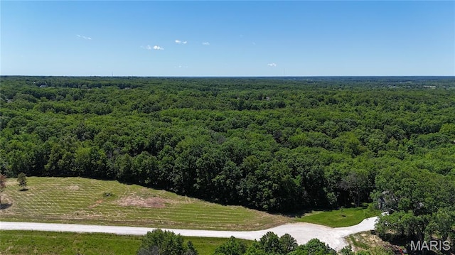 124 Merz Meadows Dr, Troy, MO 63379 - photo 6