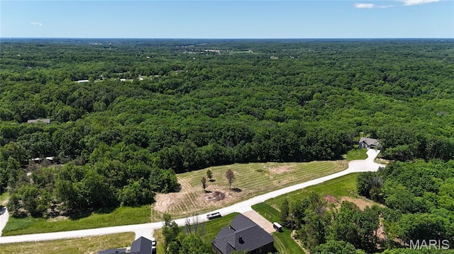 124 Merz Meadows Dr, Troy, MO 63379 - photo 9
