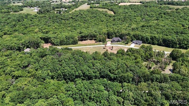 124 Merz Meadows Dr, Troy, MO 63379 - photo 13