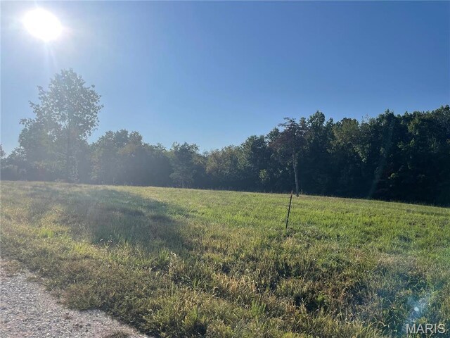 130 Merz Meadows Dr, Troy, MO 63379 - photo 8