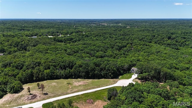 130 Merz Meadows Dr, Troy, MO 63379 - photo 26