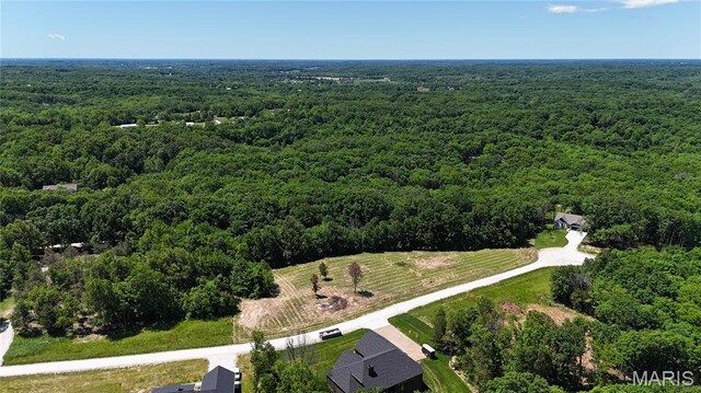 130 Merz Meadows Dr, Troy, MO 63379 - photo 27