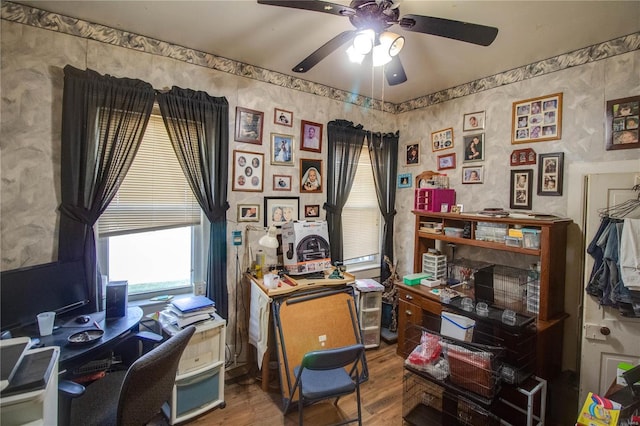 202 4th St, Carrollton, IL 62016 - home office with ceiling fan and wood finished floors