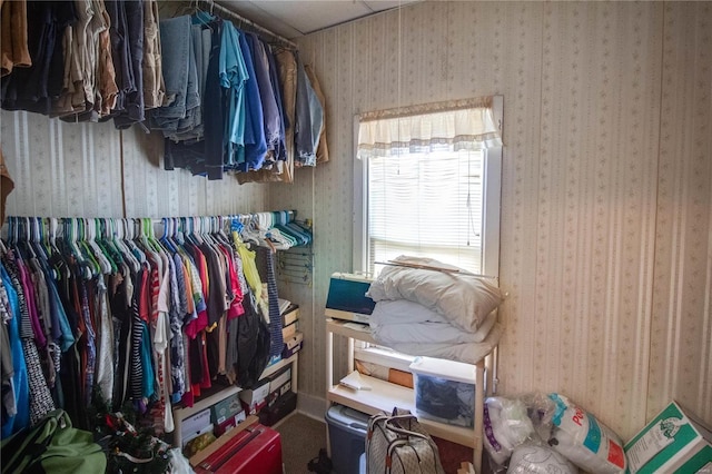 202 4th St, Carrollton, IL 62016 - view of walk in closet
