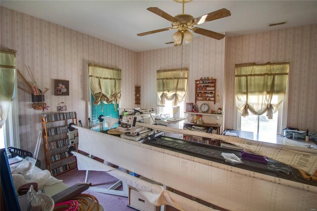 202 4th St, Carrollton, IL 62016 - kitchen featuring plenty of natural light, wallpapered walls, and ceiling fan