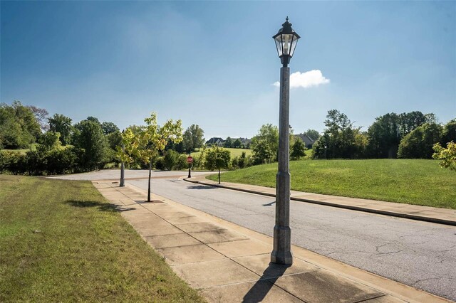 17002 New College Ave, Wildwood, MO 63040 - photo 7