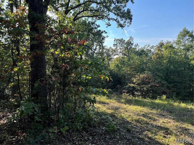 0 B Lakeview Dr, Perryville, MO 63775 - photo 1