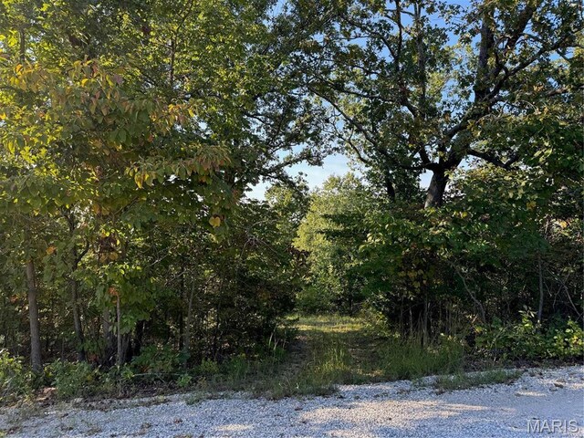 0 B Lakeview Dr, Perryville, MO 63775 - photo 5