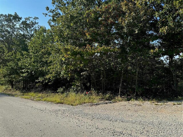 0 B Lakeview Dr, Perryville, MO 63775 - photo 6