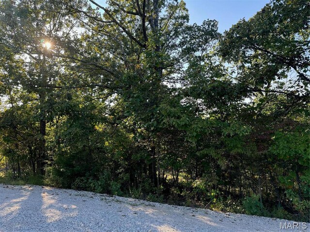 0 B Lakeview Dr, Perryville, MO 63775 - photo 8
