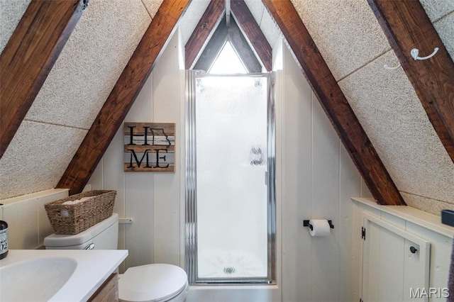 682 Shadow Lake Circle Dr, Innsbrook, MO 63390 - full bath featuring toilet, a shower stall, a decorative wall, and vanity