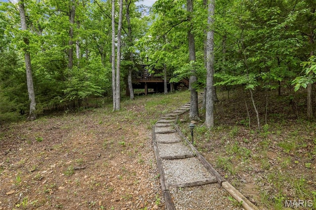 682 Shadow Lake Circle Dr, Innsbrook, MO 63390 - view of yard