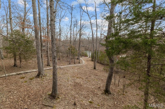 682 Shadow Lake Circle Dr, Innsbrook, MO 63390 - view of undeveloped land